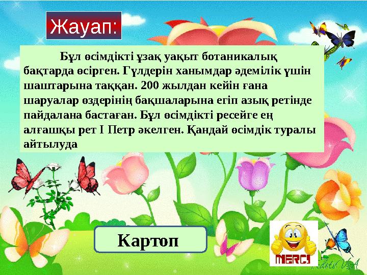 Бұл өсімдікті ұзақ уақыт ботаникалық бақтарда өсірген. Гүлдерін ханымдар әдемілік үшін шаштарына таққан. 200 жылдан кейін ғана