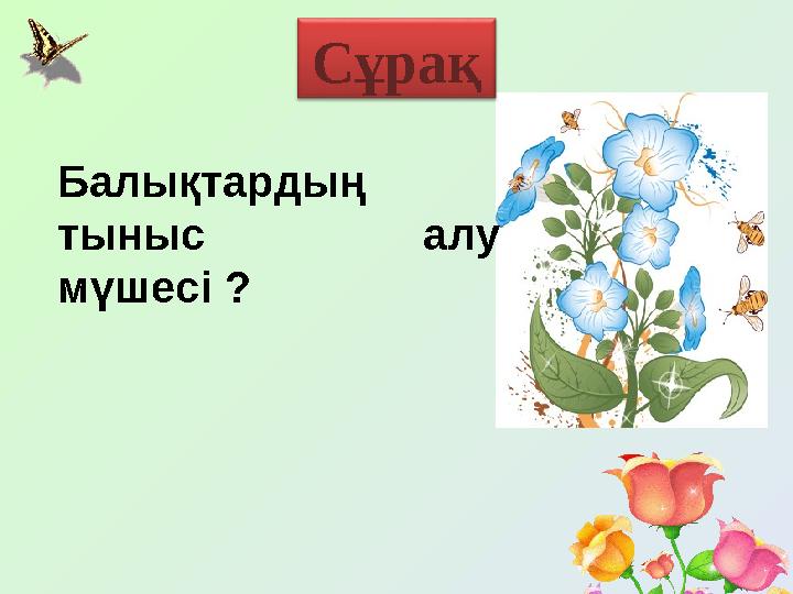 Балықтардың тыныс алу мүшесі ? Сұрақ