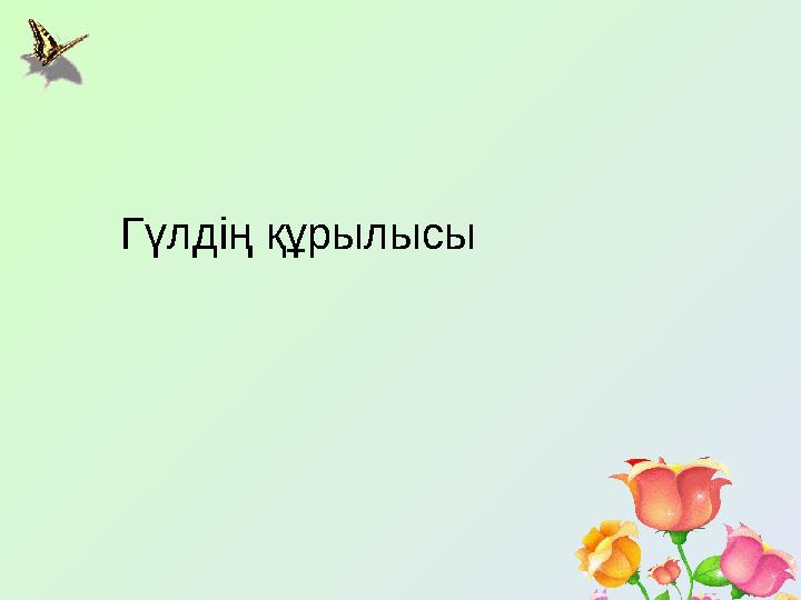 Гүлдің құрылысы