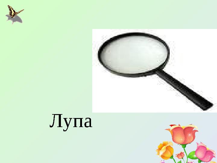 Лупа