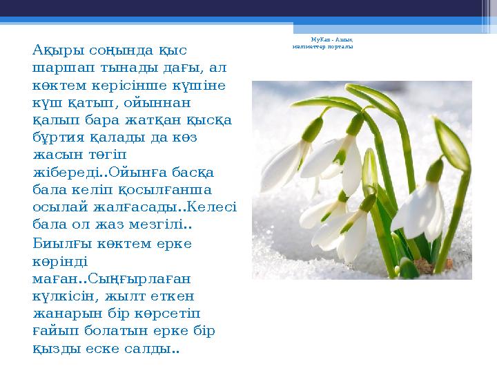 Ақыры соңында қыс шаршап тынады дағы, ал көктем керісінше күшіне күш қатып, ойыннан қалып бара жатқан қысқа бұртия қалады д