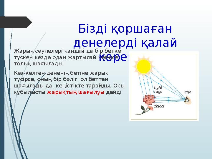 Бізді қоршаған денелерді қалай көреміз?Жарық сәулелері қандай да бір бетке түскен кезде одан жартылай немесе толық шағылады.