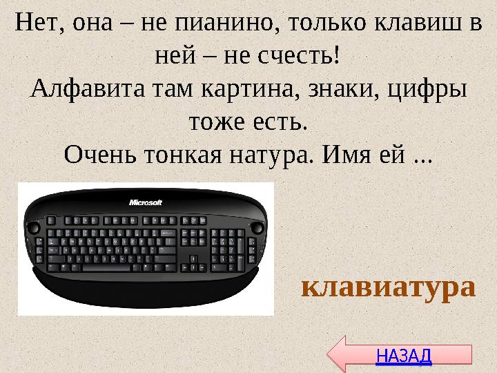 Нет, она – не пианино, только клавиш в ней – не счесть! Алфавита там картина, знаки, цифры тоже есть. Очень тонкая натура. Имя