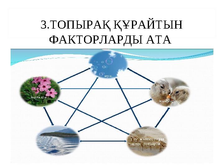 3.ТОПЫРАҚ ҚҰРАЙТЫН ФАКТОРЛАРДЫ АТА
