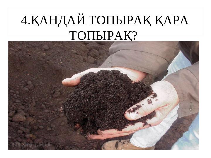 4.ҚАНДАЙ ТОПЫРАҚ ҚАРА ТОПЫРАҚ?
