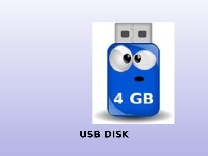 USB D ISK