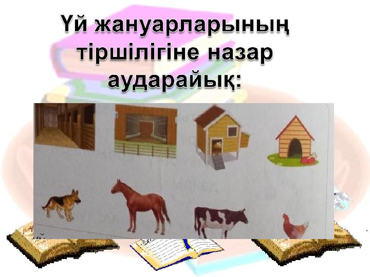 n Ән баланы биші болуына арман туғызады. Ән баланы биші болуына арман туғызады. Тез орындал