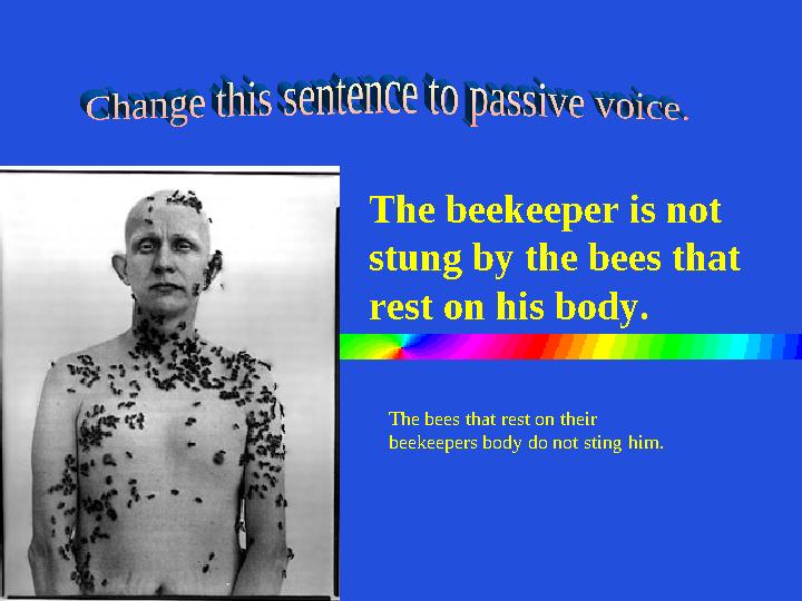 The bees that rest on their beekeepers body do not sting him.The beekeeper is not stung by the bees that rest on his body.