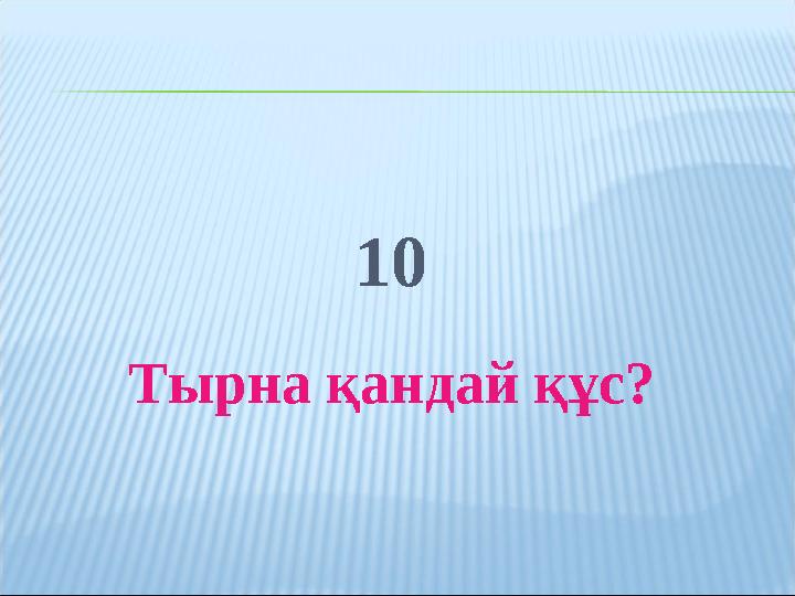 10 Тырна қандай құс?