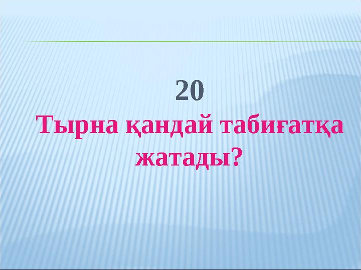 20 Тырна қандай табиғатқа жатады?