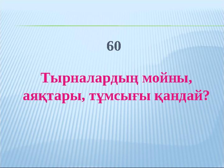 60 Тырналардың мойны, аяқтары, тұмсығы қандай?