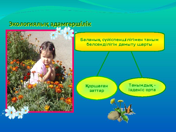 Экологиялық адамгершілік дамыту ортасыЭкологиялық адамгершілік дамыту ортасы Баланың сүйіспеншілігімен таным белсенділігін да