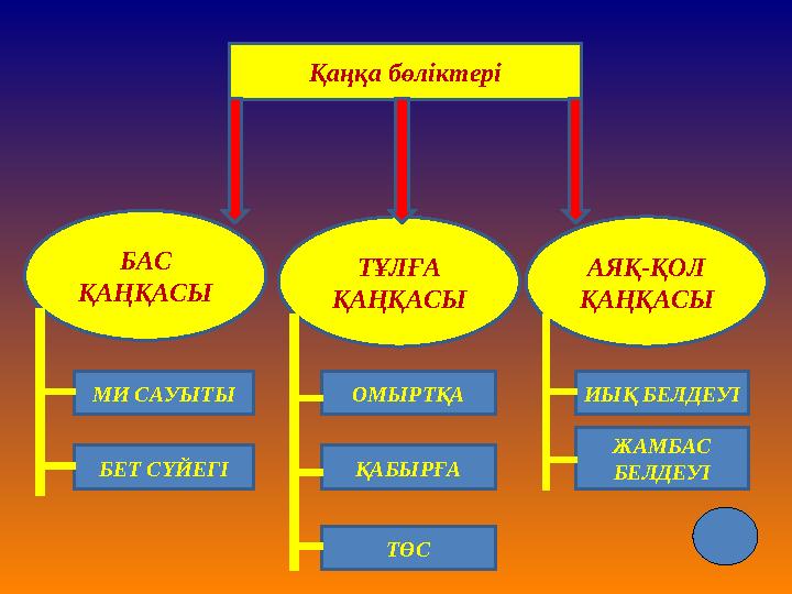 Желіде басқа біреудің əйелін тез сиқтым.