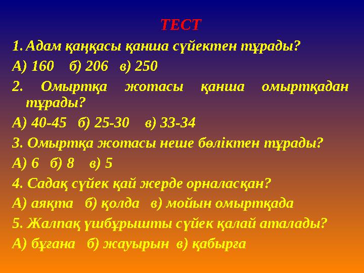 ТЕСТ 1. Адам қаңқасы қанша сүйектен тұрады? А ) 160 б) 206 в) 250 2. Омыртқа жотасы қанша омыртқадан тұрады? А ) 40-4