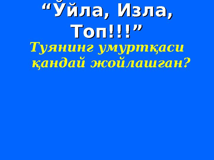 ““ Ўйла, Изла, Ўйла, Изла, Топ!!!”Топ!!!” Туянинг умуртқаси қандай жойлашган?