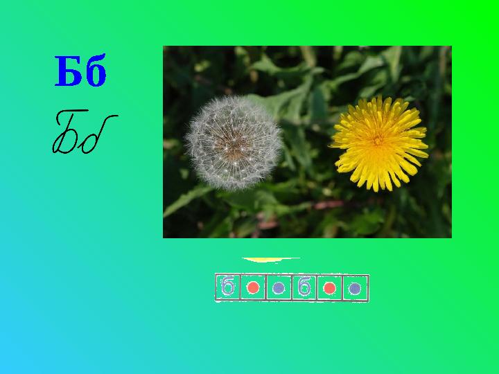 Бб