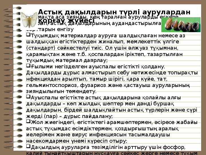 Астық дақылдарын түрлі аурулардан қорғау жүйесі  Аймақта аса зиянды, кең тарал...