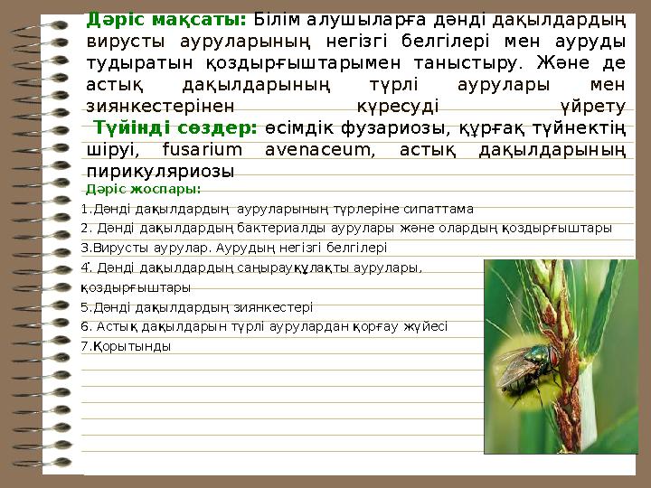 Дәріс мақсаты: Білім алушыларға дәнді дақылдардың вирусты ауруларының негізгі белгілері мен ауруды тудыратын қоздырғы