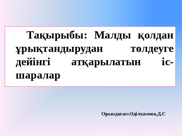 Вакфу кейіпкерлері бар порно GIF файлдары