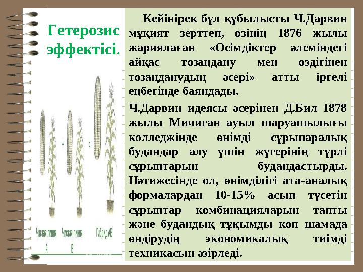 Гетерозис эффектісі . Кейінірек бұл құбылысты Ч.Дарвин мұқият зерттеп, өзінің 1876 жылы жариялаған «Өсімдікте