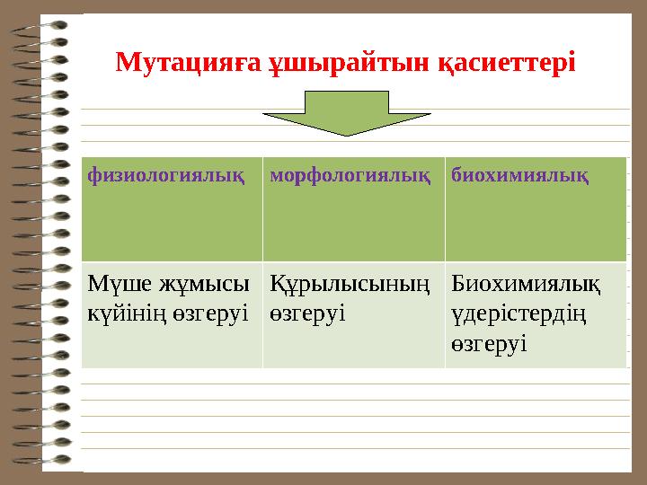 Мутацияға ұшырайтын қасиеттері физиологиялық морфологиялық биохимиялық Мүше жұмысы күйінің өзгеруі Құрылысының өзгеруі Биохими