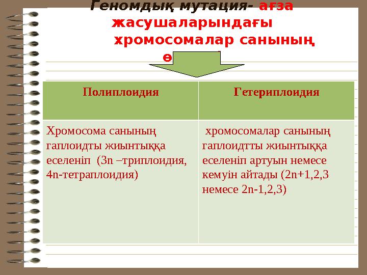 Геномдық мутация- ағза жасушаларындағы хромосомалар санының өзгеруі Полиплоидия Гетериплоидия Хромосома санының г