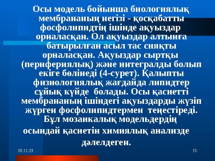 05.11.23 15 Осы модель бойынша биологиялық мембрананың негізі - қосқабатты фосфолипидтің ішінде ақуыздар орналасқан. Ол а