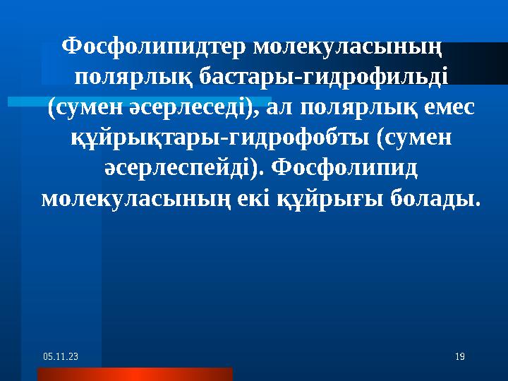 05.11.23 19Фосфолипидтер молекуласының полярлық бастары-гидрофильді (сумен әсерлеседі), ал полярлық емес құйрықтары-гидрофобт