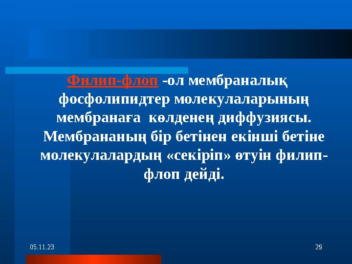 05.11.23 29Филип-флоп -ол мембраналық фосфолипидтер молекулаларының мембранаға көлденең диффузиясы. Мембрананың бір бетіне