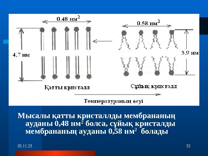 05.11.23 32Мысалы қатты кристаллды мембрананың ауданы 0,48 нм 2 болса, сұйық кристалды мембрананың ауданы 0,58 нм 2 болады