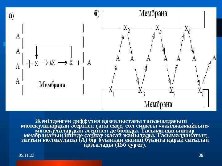 05.11.23 39Жеңілденген диффузия қозғалыстағы тасымалдағыш молекулалардың әсерінен ғана емес, сол сияқты «жылжымайтын» молекула