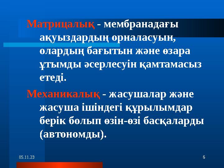 05.11.23 6Матрицалық - мембранадағы ақуыздардың орналасуын, олардың бағытын және өзара ұтымды әсерлесуін қамтамасыз етеді.