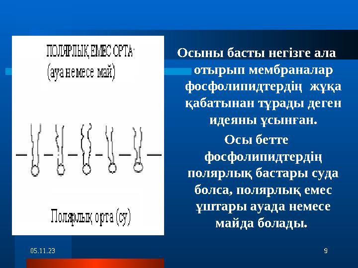 05.11.23 9Осыны басты негізге ала отырып мембраналар фосфолипидтердің жұқа қабатынан тұрады деген идеяны ұсынған. Осы бетте