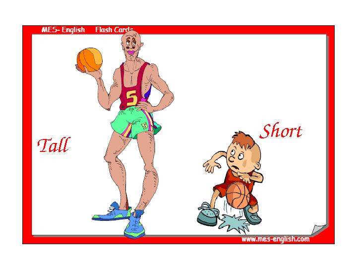 Tall Short