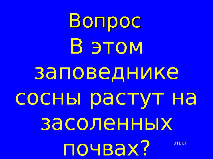 ВопросВопрос ответВ этом заповеднике сосны растут на засоленных почвах?