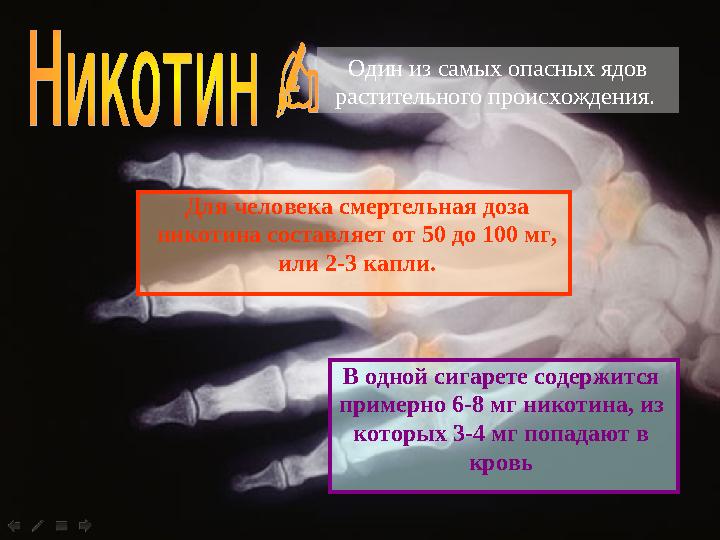 Один из самых опасных ядов растительного происхождения. Для человека смертельная доза никотина составляет от 50 до 100 мг,