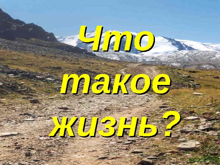 Что такое жизнь? Что такое жизнь?
