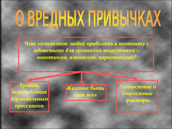 Что заставляет людей прибегать к контакту с ядовитыми для организма веществами – никотином, алкоголем, наркотиками? Тревога