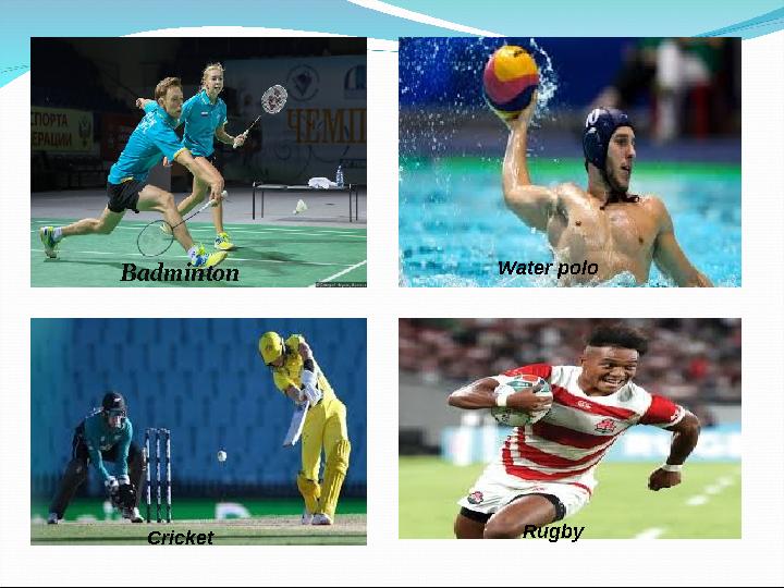 Badminton Water polo Cricket Rugby