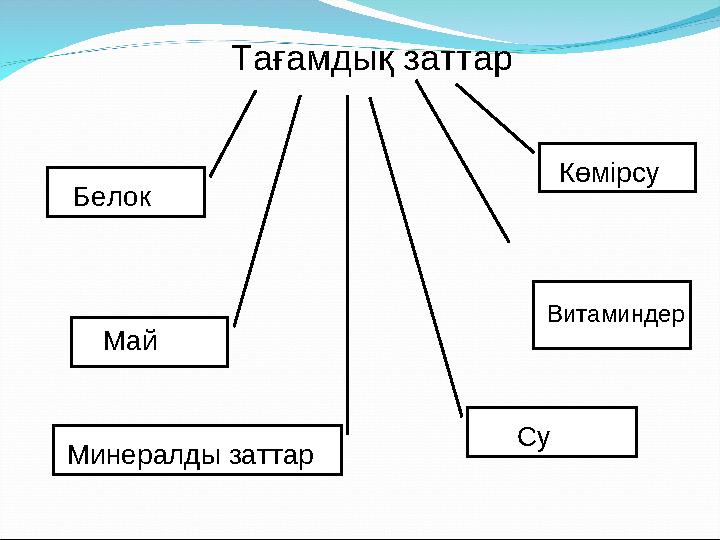 Тағамдық заттар Белок Май Су Көмірсу Витаминдер Минералды заттар