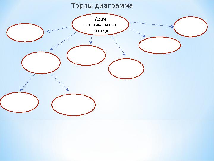 Торлы диаграмма Адам генетикасының әдістері