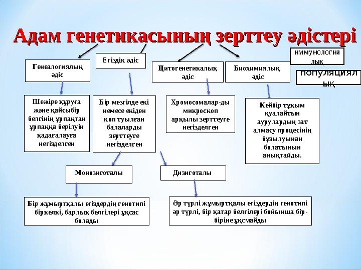 Адам генетикасының зерттеу әдістеріАдам генетикасының зерттеу әдістері Генеалогиялық әдіс Егіздік әдіс Цитогенетикалық әдіс Би