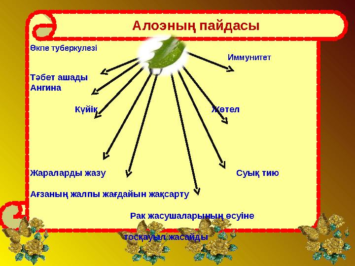 Алоэның пайдасы Өкпе туберкулезі