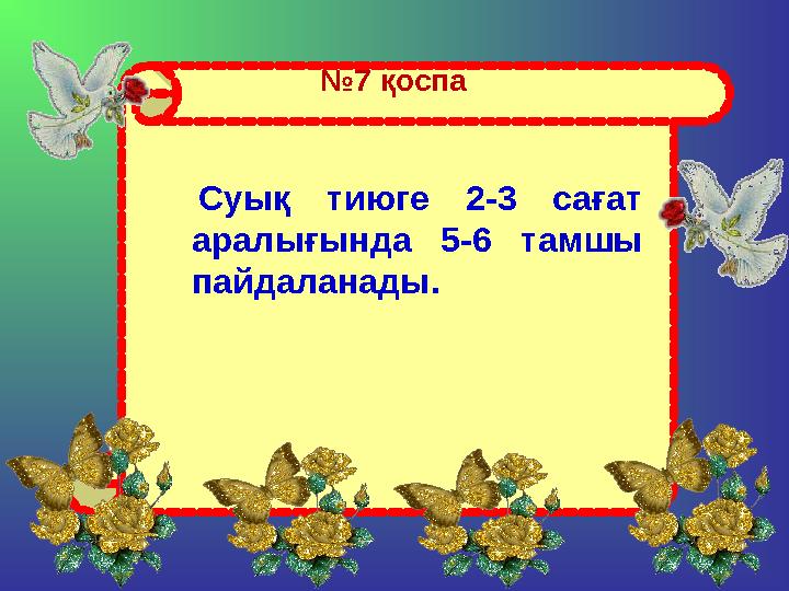 № 7 қоспа Суық тиюге 2-3 сағат аралығында 5-6 тамшы пайдаланады.