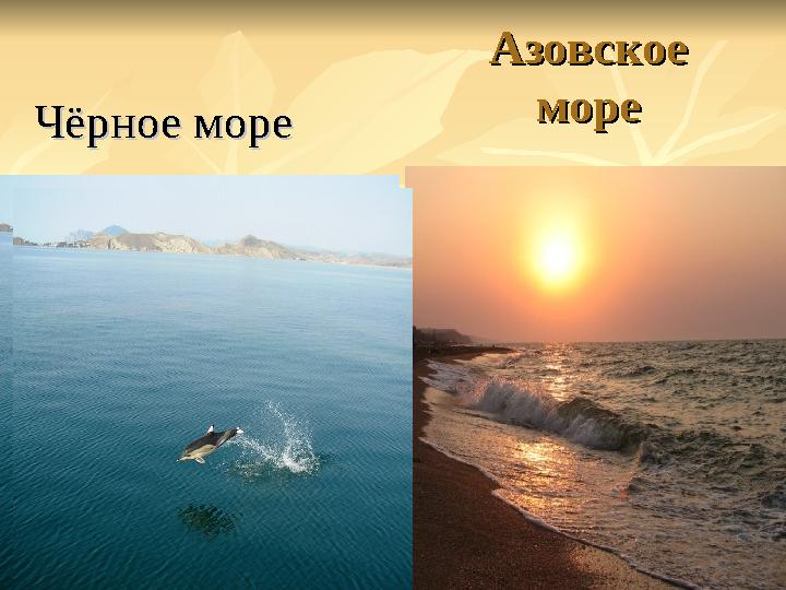 Азовское Азовское мореморе Чёрное мореЧёрное море