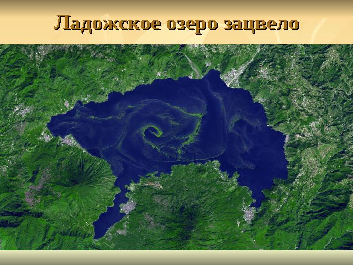 Ладожское озеро зацвелоЛадожское озеро зацвело
