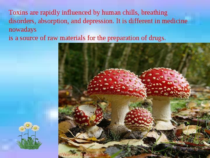 Toxins are rapidly influenced by human chills, breathing disorders, absorption, and depression. It is different in medicine no