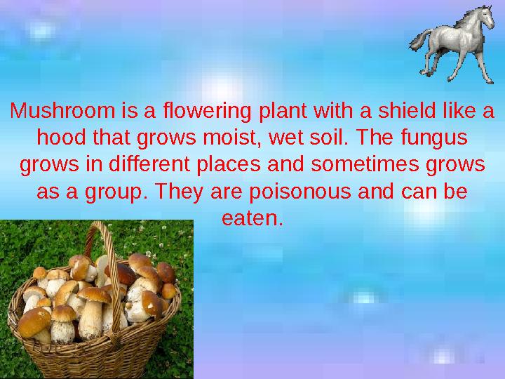 Mushroom is a flowering plant with a shield like a hood that grows moist, wet soil. The fungus grows in different places and s