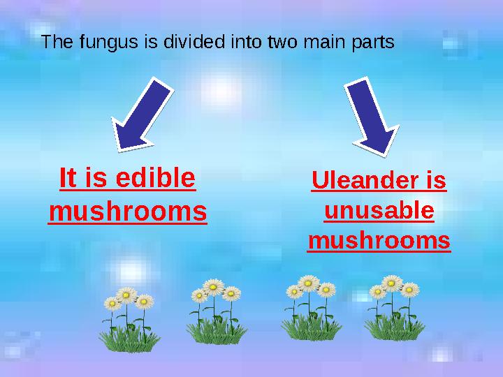 It is edible mushrooms Uleander is unusable mushroomsThe fungus is divided into two main parts