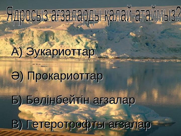 А) Эукариоттар А) Эукариоттар Ә) Прокариоттар Ә) Прокариоттар Б) Бөлінбейтін ағзалар Б) Бөлінбейтін ағзалар